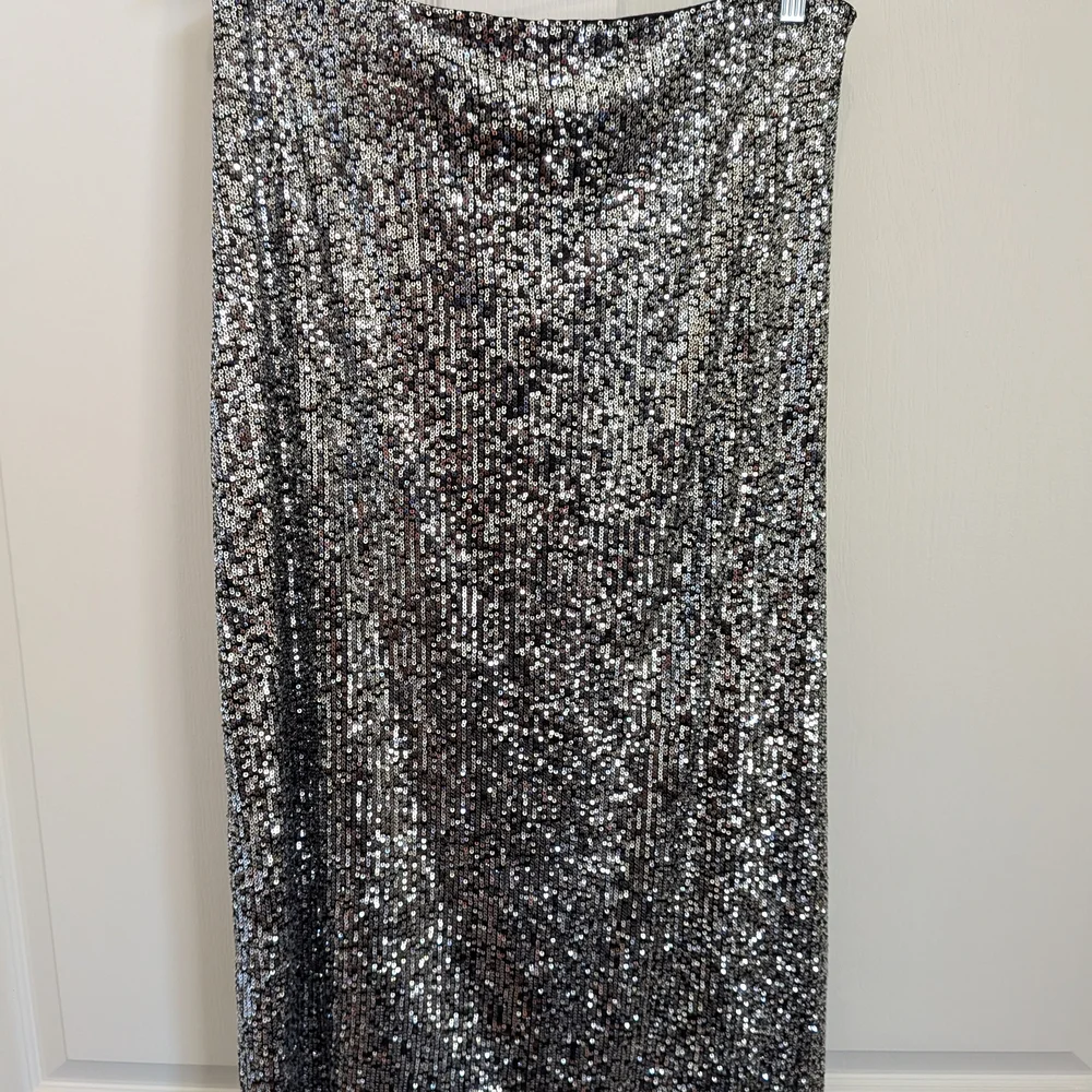Z Supply Shimmering Silver Sequin Pencil Skirt